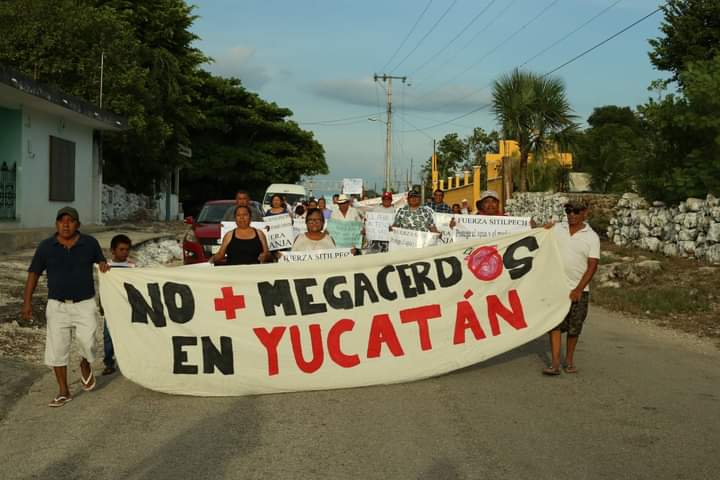 Marcha comunitaria en Sitilpech, ante los rumores venenosos de que se vendió el movimiento