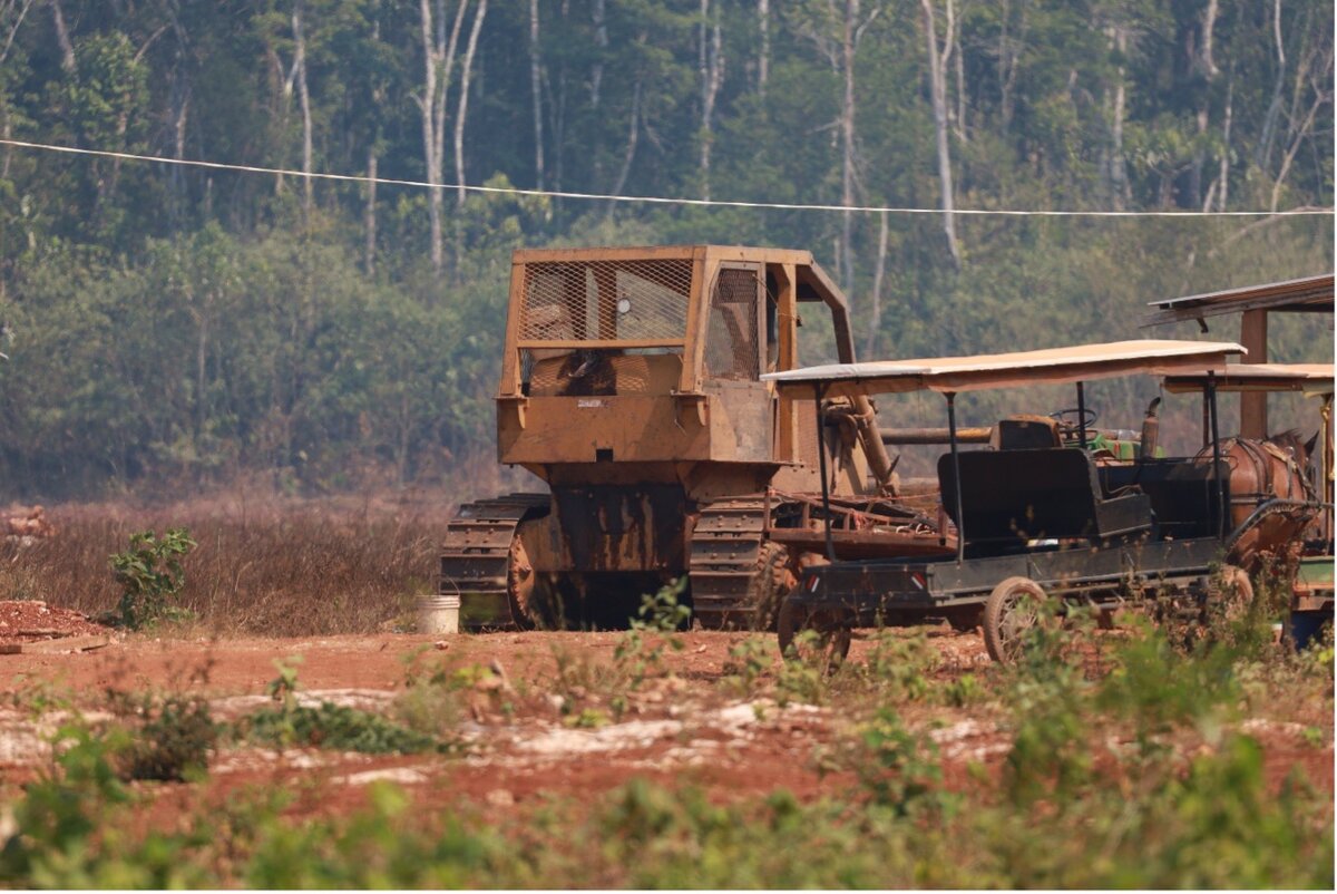 Impacto de la Maquinaria Pesada en la Deforestación y el Establecimiento de Monocultivos