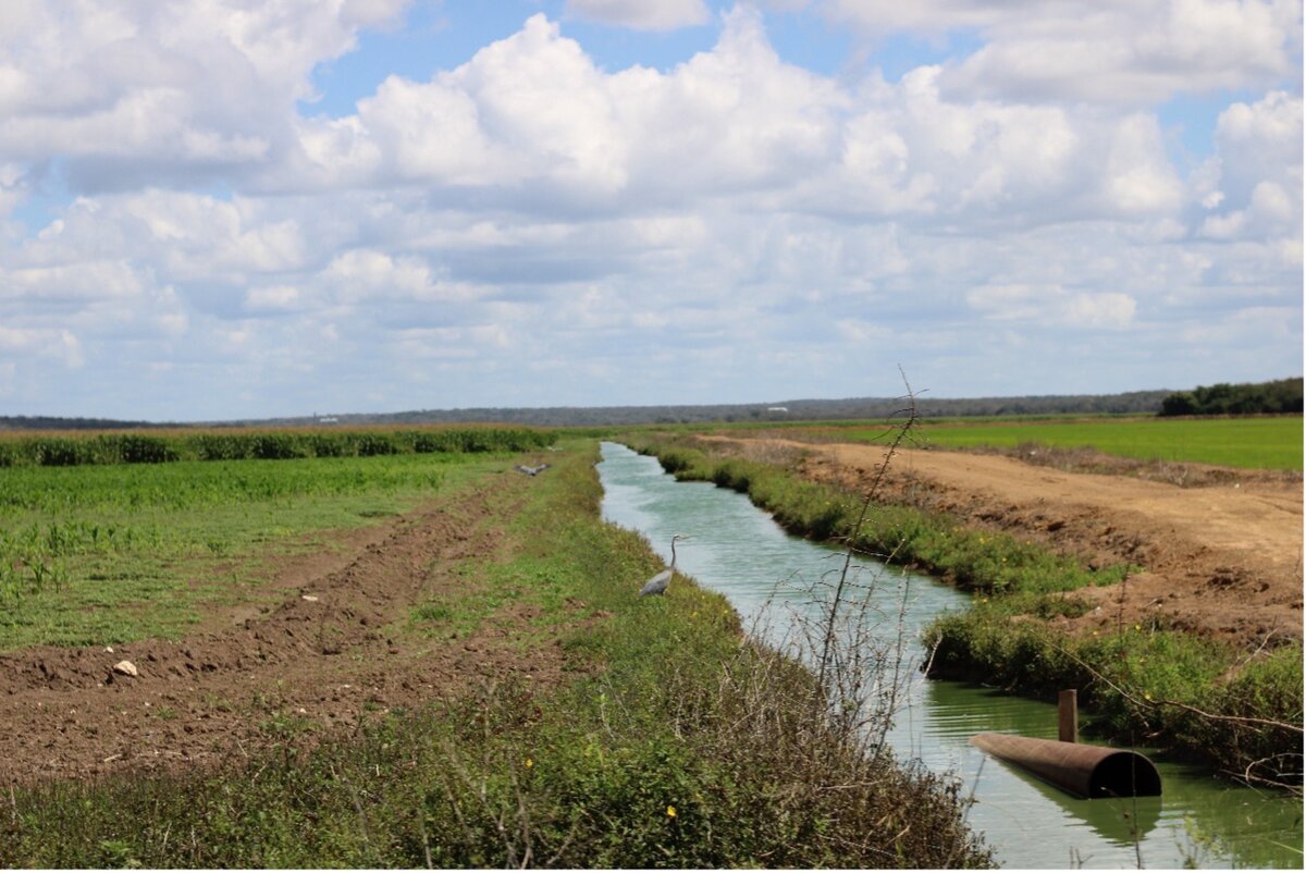 Drenes en las Zonas Inundables: Un Análisis del Akal Ch