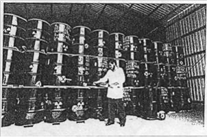 Instituto Nacional de Investigaciones Nucleares