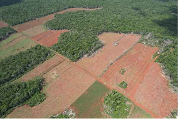 Deforestación y Cambio de Uso de Suelo