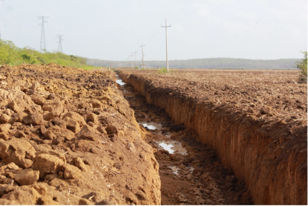 Drenes en las Zonas Inundables: Un Análisis del Akal Ch
