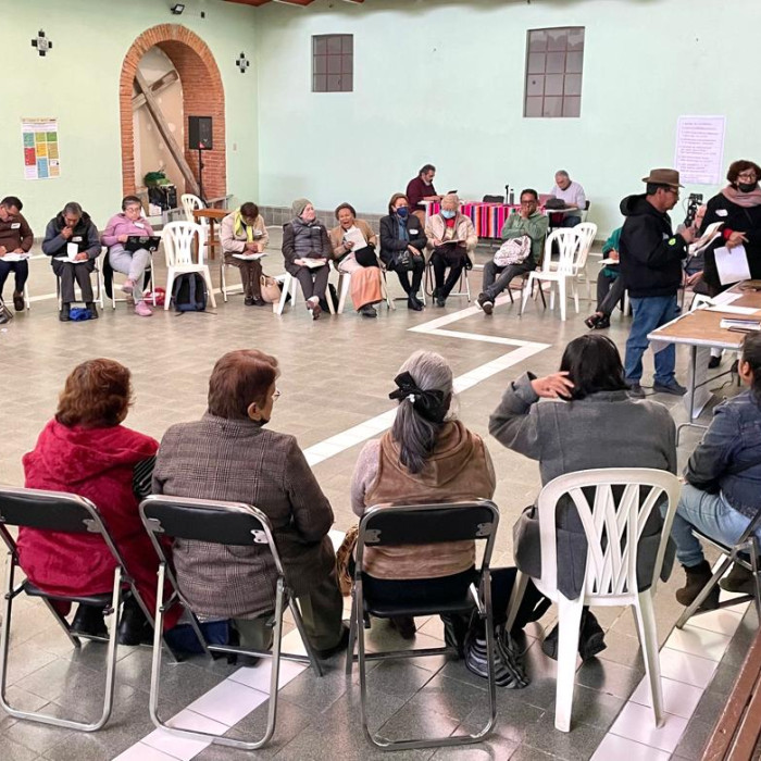 Litigio participativo